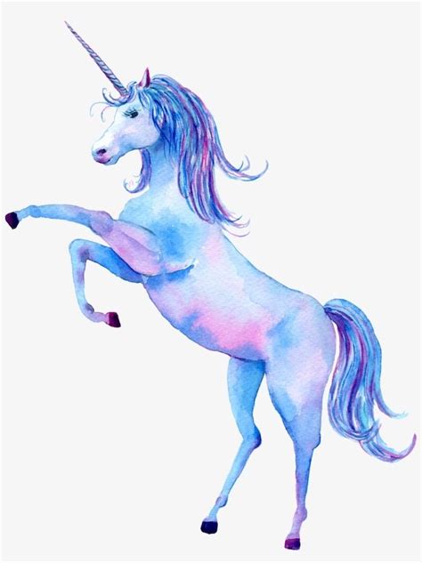 A Watercolor Drawing Of A Unicorn Standing On Its Hind Legs