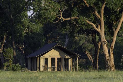 Davisons Safari Camp Hwange Zimbabwe