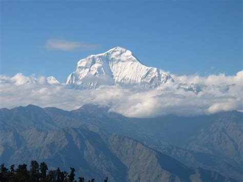 Mount Dhaulagiri 26905 Ft 7th Highest Mountain Nepal Himalayas
