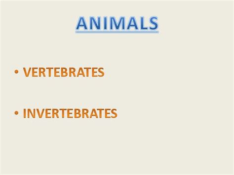 Vertebrates And Invertebrates Ppt