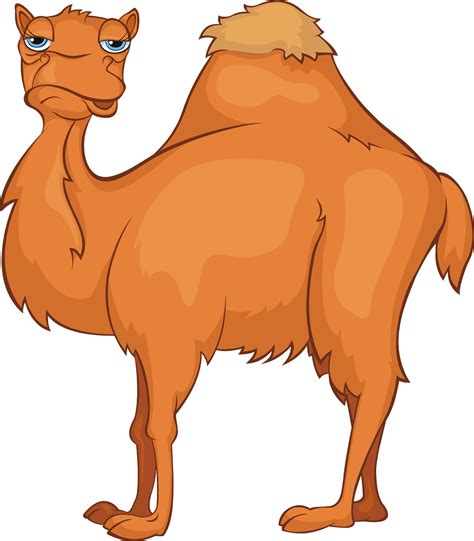 camel clipart free 20 free Cliparts | Download images on Clipground 2024