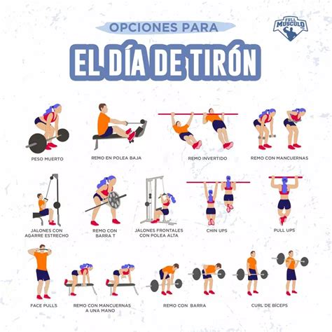 Rutina de Entrenamiento Tirón Empujón para 3 ó 6 días FullMusculo