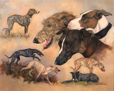 Elizabeth Ansell Lurcher Dogs Signed Oil Painting On Canvas At 1stdibs