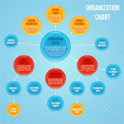 Premium Vector Organizational Chart Infographic Template