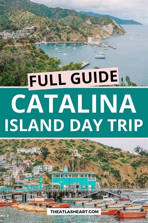 The Perfect Catalina Island Day Trip Catalina Island California