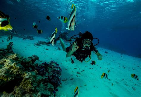 Eleuthera Bora Diving Center Bora Bora All You Need To Know Before
