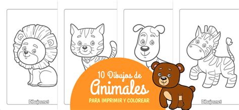 10 Dibujos de Animales para Imprimir y colorear - Dibujos.net