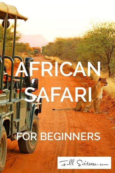 Safaris In Tanzania All You Need To Know Before Going On Safari In