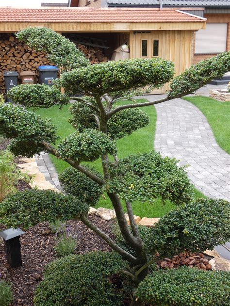 Das beste aus holz für den garten: Horstmann Garten & Technik | Vorgarten & Terrasse