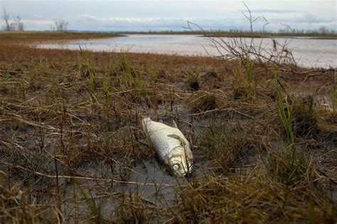 How Norilsk In The Russian Arctic Became One Of The Most Polluted