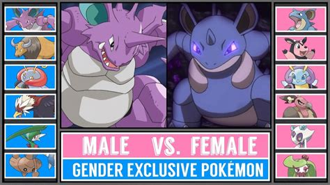 Gender Battle Male Vs Female Pokémon Pokémon Sunmoon Youtube
