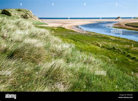 Grasses Stream And North Sea Northumberland Coast Path England