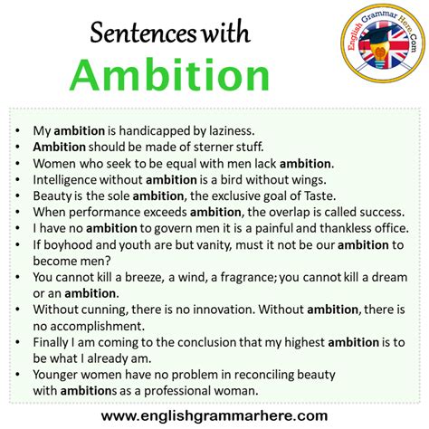 Sentences With Ambition Ambition In A Sentence In English Sentences