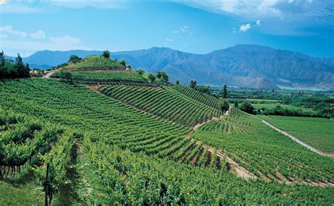 Touring The Wine Country Of Chile