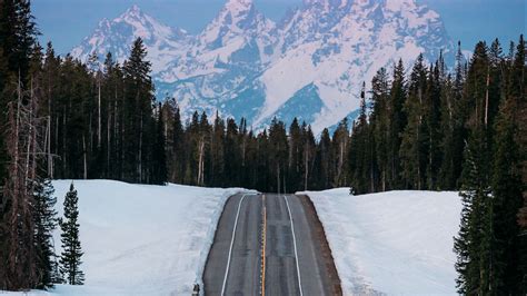 Road Between Snow Field Surrounded By Trees With Landscape View Of