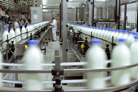 Proceso de industrialización de la leche TAUBER