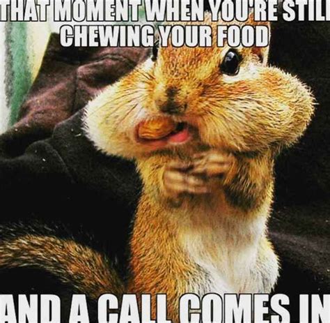 27 Of The Best Call Center Memes On The Internet Funny Animals Funny