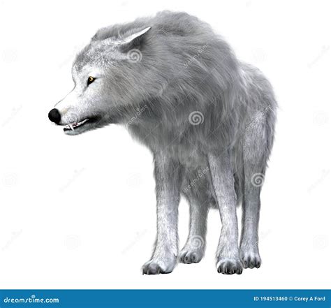 Dire Wolf Pack Leader Stock Illustration Illustration Of Fangs 194513460