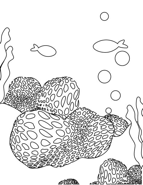 It is displayed at the upper right. Coral coloring pages to download and print for free