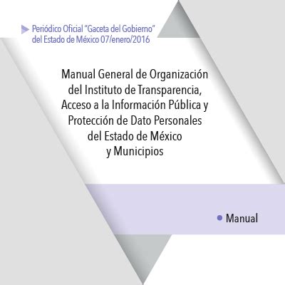 Manual General De Organizaci N Del Instituto De Transparencia Acceso A