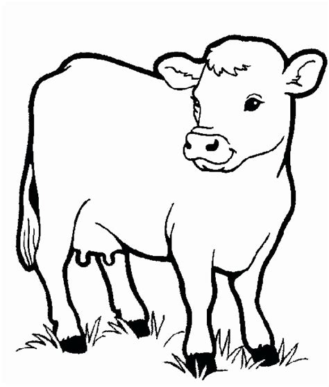 Funny Animal Coloring Pages At Free