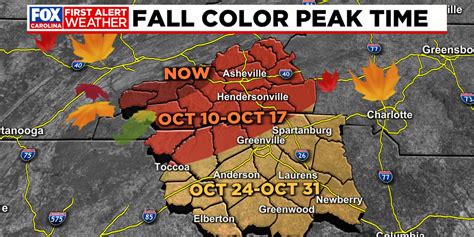 The Science Behind Fall Foliage News13now