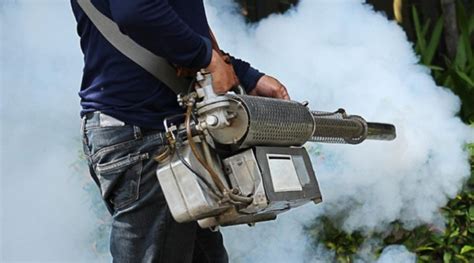 The Best Mosquito Fogger Reviews 2019