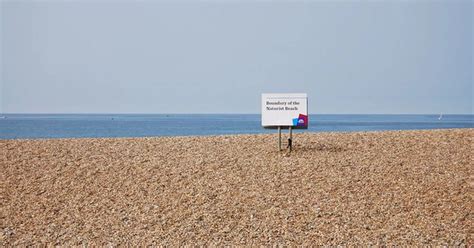 What These People Made Of A Visit To Brighton S Naturist Beach SussexLive
