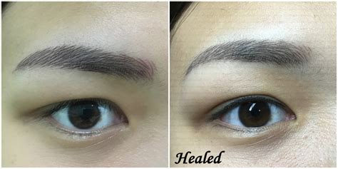 Elegant 3d Brow Embroidery And Painless Eyeliner Embroidery ~ Healed