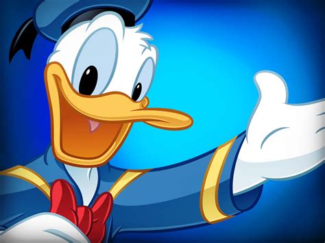 Donald Duck In Blue Cartoon Wallpaper
