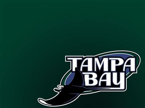 Tampa Bay Rays Wallpapers Wallpaper Cave