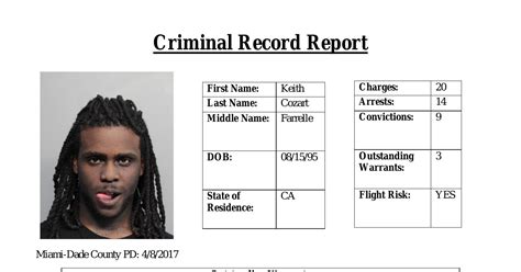 Criminal Record Reportpdf Docdroid