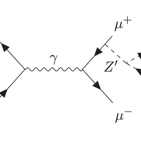 Feynman Diagram For A Z Prime Production With A Muon Pair And