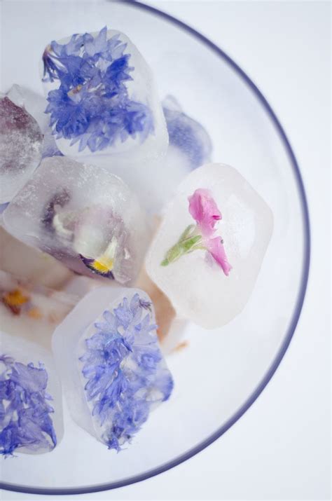 How To Make Edible Flower Ice Cubes Recipe Flower Ice Cubes Flower