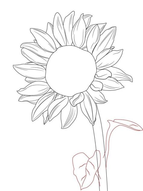 Download tranh tô màu cho bé 2 tuổi tăng trưởng trí thông ... If you liked this tutorial, see also the following drawing guides: