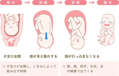 出産の流れ 産婦人科サイト 近畿中央病院