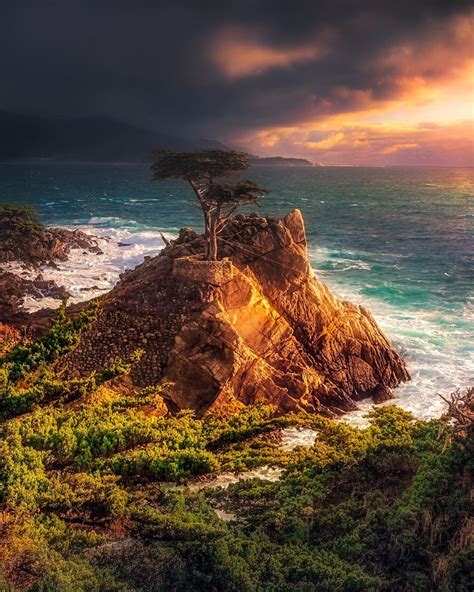 Eric Houck On Instagram This Is The Lone Cypress On 17 Mile Drive On