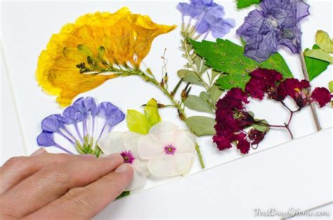 Flower Press Art Arrangement With Microfleur Microwave Flower Press