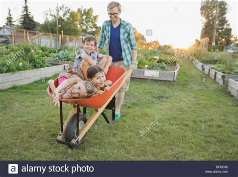 Man Pushing Kids In Wheelbarrow Stock Photo Alamy