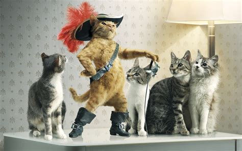 Cat Animals Puss In Boots Raiden Wallpapers Hd Desktop And Mobile