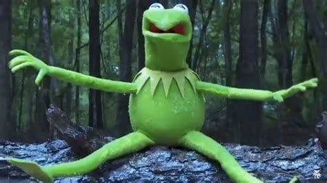 Kermit The Frog Nightmare Fuel Youtube