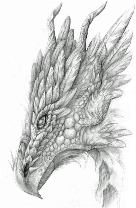 736 x 567 jpg pixel. Pin by Marissa Rosemary on Art | Dragon drawing, Dragon ...