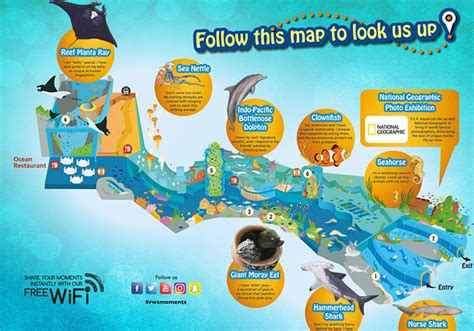 Sea Aquarium Singapore 15 Essentials Tips To Southeast Asias
