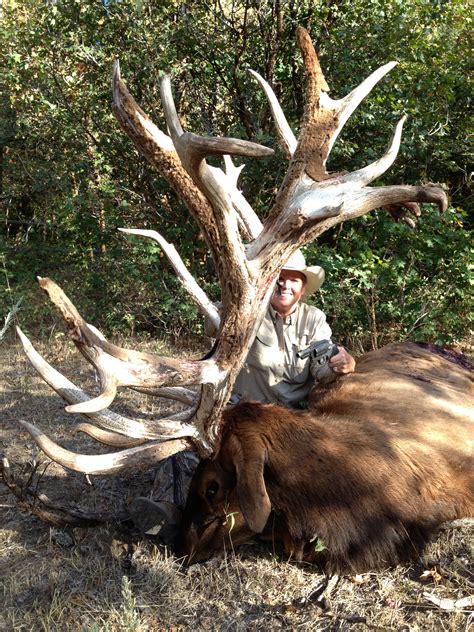 World Record Bull Elk 2011 Click For Details New World
