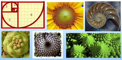 The Magic Of Fibonacci Numbers And The Golden Ratio 9 Degrees