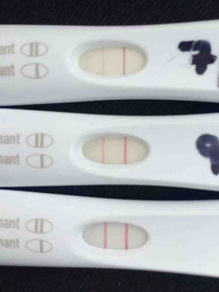 Positive Faint Line First Response Negative Pregnancy Test Pregnancy Test