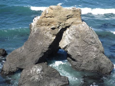 Needle Rock Beach Whitethorn Ca California Beaches
