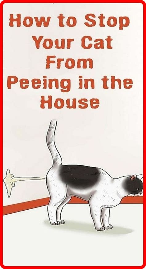 How To Stop Cats From Peeing In The House In 2020 Cat Pee Stop Cats