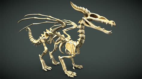 Dragon Skeleton 3d Model By Lynda Murray Impdragon 9556f12