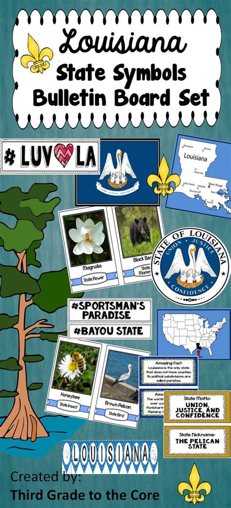 Louisiana State Symbols Bulletin Board Set State Symbols Louisiana
